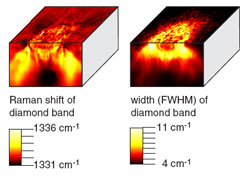 Raman maps of type Ib diamond