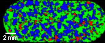 Streamline Plus Image of Pharmaceutical Tablet