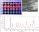 inVia High throughput screening