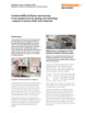 Preview: Combined SEM and Raman spectroscopy