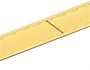 RGSZ gold scale with IN-TRAC™ reference mark