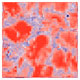 Raman image of a diamond film