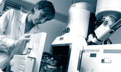 SEM-SCA analysis of corroded artefact