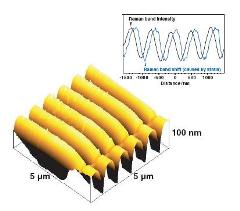 TERS and AFM images of SiO2/Si pattern