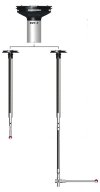 RSP3 probe