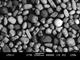 SEM image of heavy mineral sands