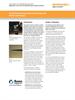 Combining scanning probe microscopy and Raman microscopy