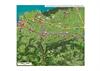 Renishaw AG location map