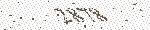 CAPTCHA 挑战