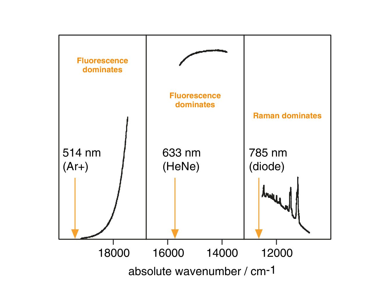 Spectra from a conducting polymer