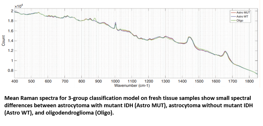 Raman spectra of tissue samples