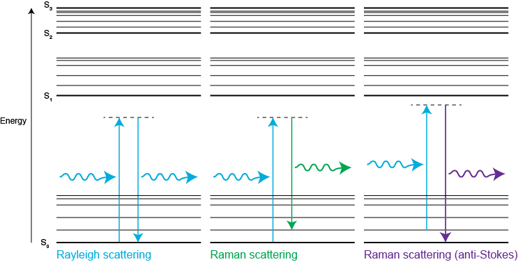 显示瑞利散射和拉曼散射的能量图