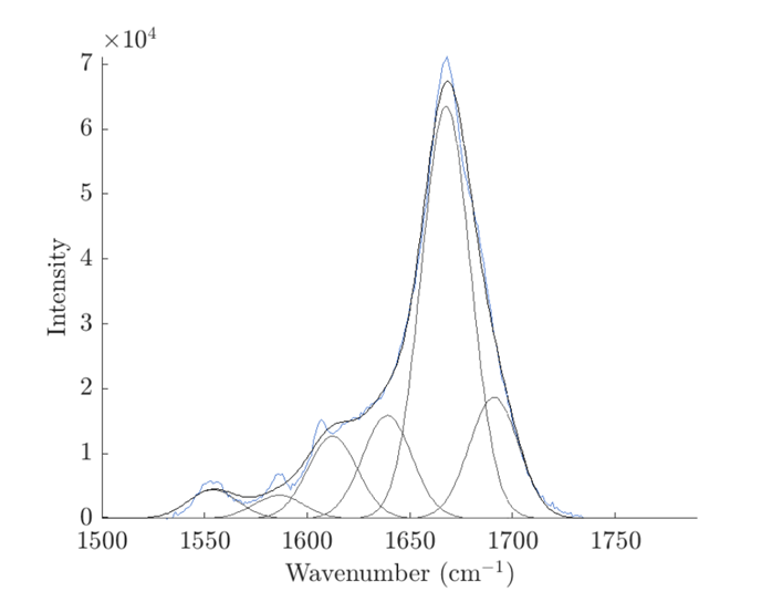 Raman spectra of bird feathers