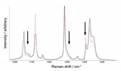 两个聚乙烯样品的拉曼光谱，显示出结晶度差异