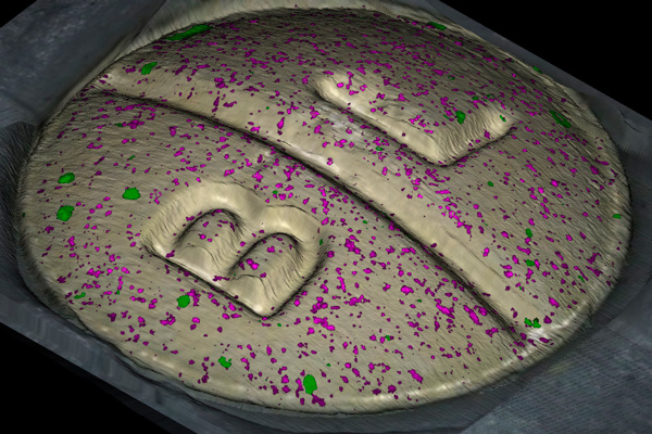 Application note:  Application note:  Allergy relief tablet image from RA802 pharmaceutical analyser using LiveTrack