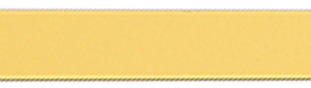 RGS20-S scale