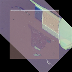 ReS2 - AFM map correlated with white light image