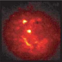 Cocaine hydrochloride revealed using True Raman Imaging