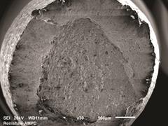 Fractura de superficie de FA en el microscopio SEM