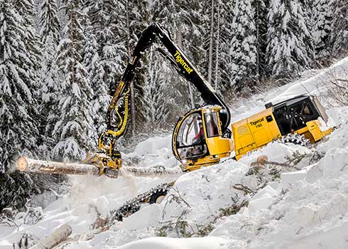 Een 1185 rooier (foto: Tigercat)