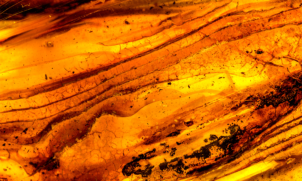 Amber Gemmologie