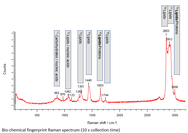 指纹中生物化学物质的拉曼光谱