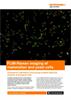 Application note:  FLIM-Raman imaging of mammalian and yeast cells