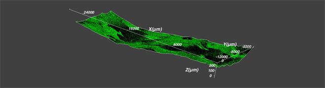 Virsa LiveTrack Image of Graphene Carbon Grown on a Copper Substrate