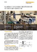 案例分析： XL-80激光干涉仪为线纹尺测量系统提供精准可靠的位置补偿解決方案