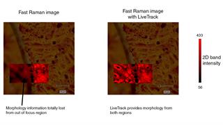 Analysis of CVD graphene grown on copper foils