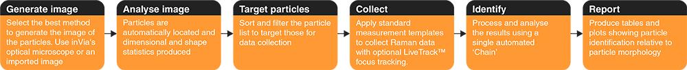 Particle analysis workflow